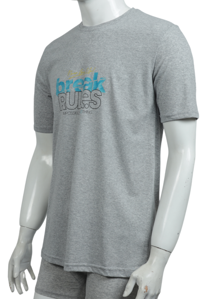 Tricou Bărbați cu Imprimeu BREAK RULES , Culoare Gri ,Engros