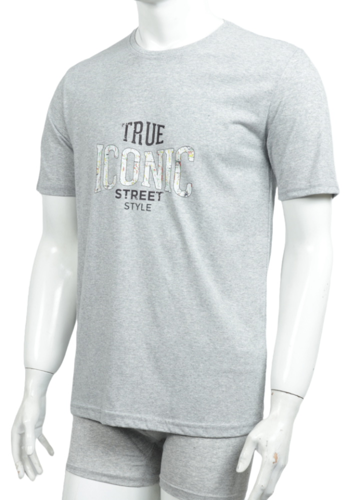 Tricou Bărbați cu Imprimeu TRUE ICONIC ,Culoare Gri,Engros